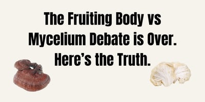 Fruiting Body vs Mycelium Debate