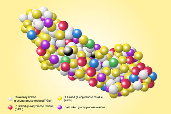 beta-glucan-structure