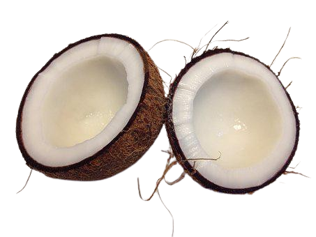 Brown coconut cut in half showing inside