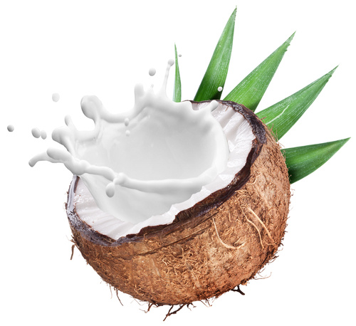 Brown coconut with coconut milk pouring out